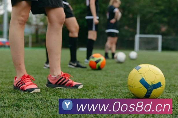 leyu乐鱼网页版在线登录APP 封面图